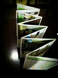 產品展示折疊卡-多折